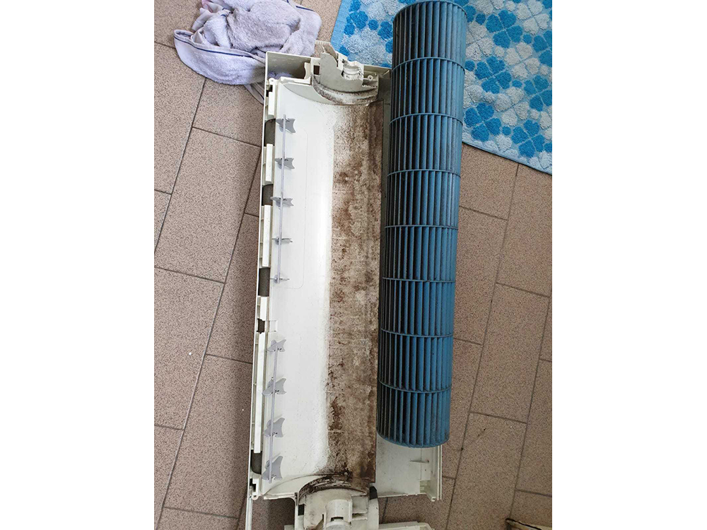 0-02-06-26ec2baddaf7106bed5ded00933d1ae22f356ea7cf31fe84e4311d8cd355e8d7_124ecb1